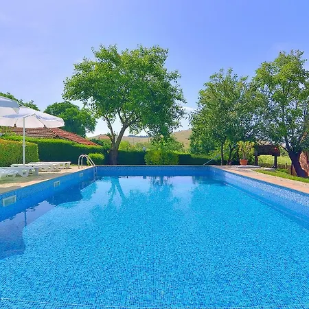 Holiday home Life - 3 With Private Pool Bryastovets